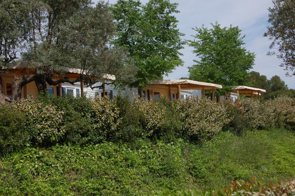 Camping Terra Alta Bot Dış mekan fotoğraf