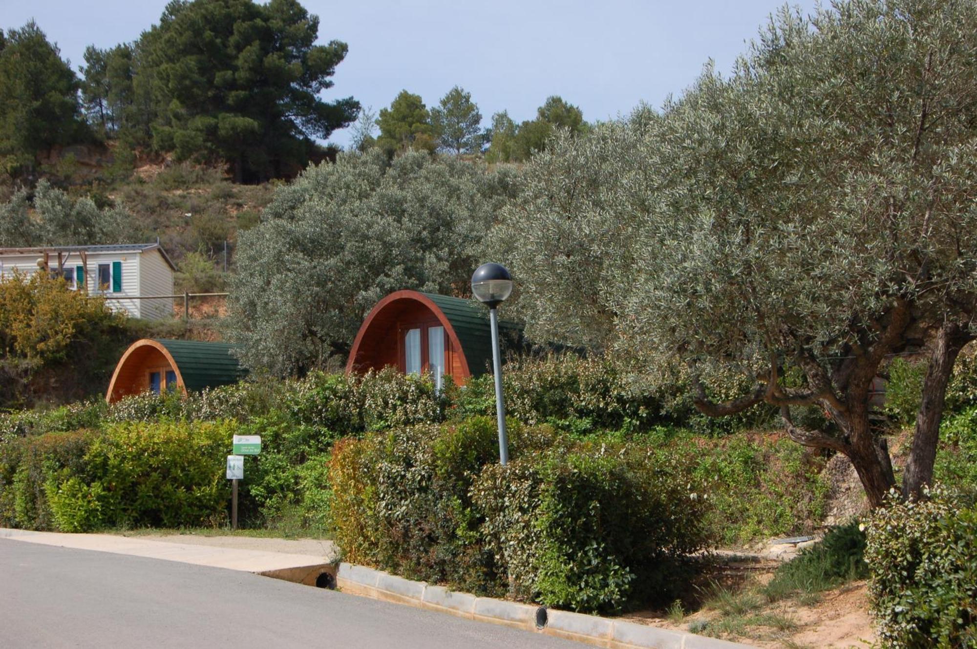 Camping Terra Alta Bot Dış mekan fotoğraf