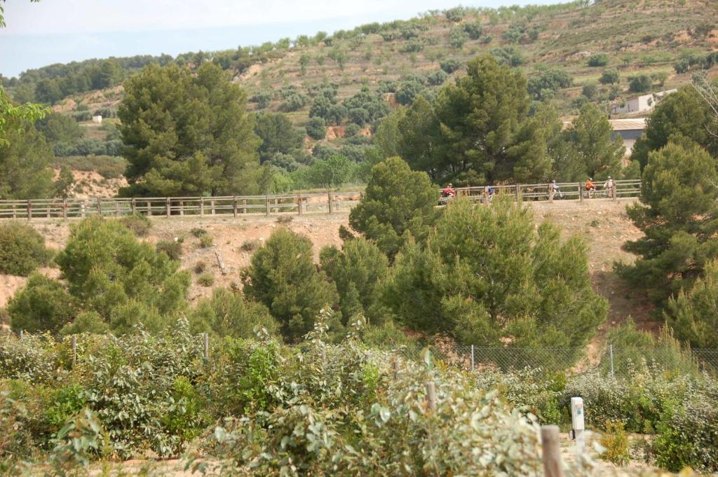 Camping Terra Alta Bot Dış mekan fotoğraf