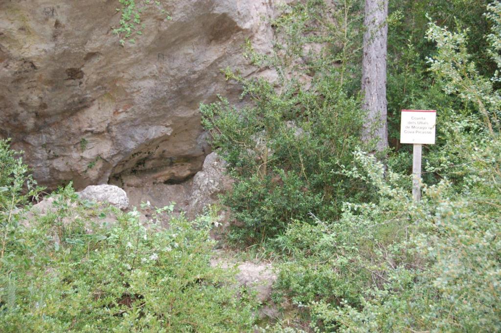 Camping Terra Alta Bot Dış mekan fotoğraf